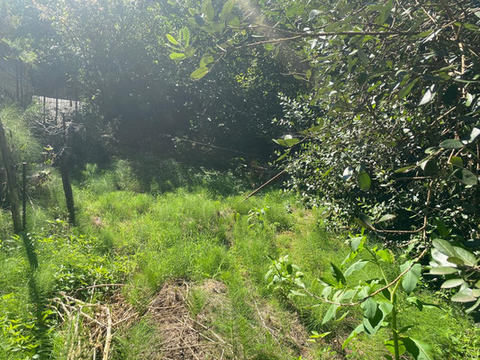 Продам участок 4,4 соток, ИЖС, Юг снт, Сочи г, 0 км от города