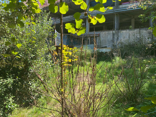 Продам участок 4,4 соток, ИЖС, Юг снт, Сочи г, 0 км от города