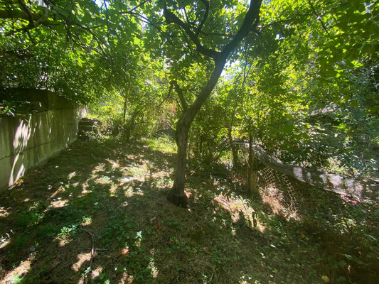 Продам участок 4,4 соток, ИЖС, Юг снт, Сочи г, 0 км от города