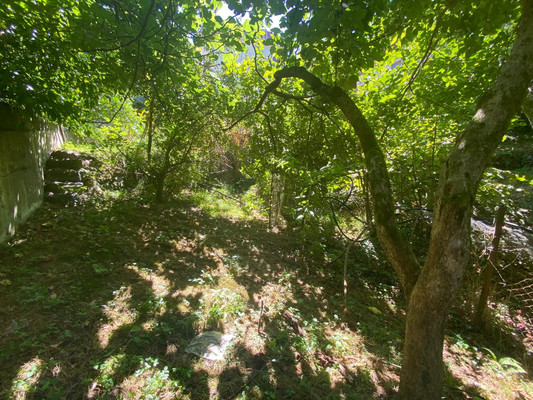 Продам участок 4,4 соток, ИЖС, Юг снт, Сочи г, 0 км от города