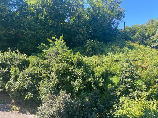 Продам участок 4,4 соток, ИЖС, Юг снт, Сочи г, 0 км от города