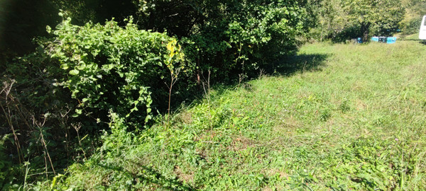 Продам участок 5 соток, ИЖС, Совхозная ул, Дедеркой с, 0 км от города