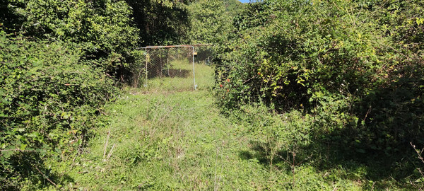 Продам участок 5 соток, ИЖС, Совхозная ул, Дедеркой с, 0 км от города