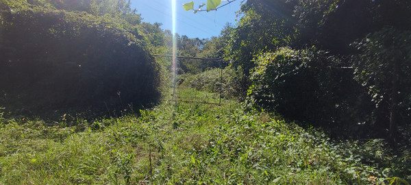 Продам участок 5 соток, ИЖС, Совхозная ул, Дедеркой с, 0 км от города