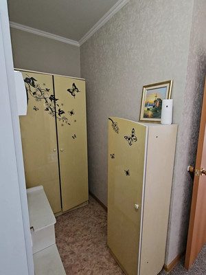 Продам однокомнатную (1-комн.) квартиру, Садовая ул, 26В/2, Шепси с