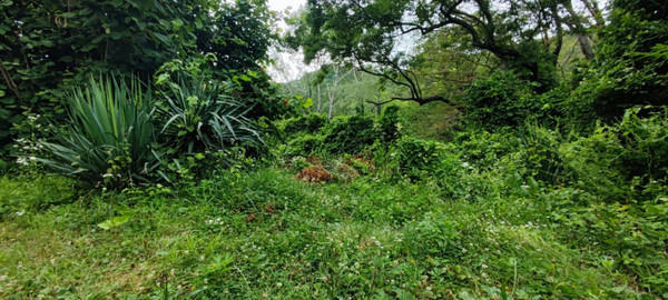 Продам землю для коммерческого использования 110,6 соток, Садоводство, Уральская ул, Дедеркой с