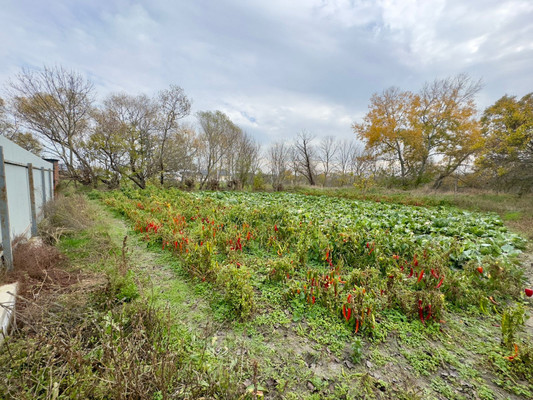Продам участок 6 соток, ИЖС, Коммунаров ул, Гостагаевская ст-ца, 0 км от города