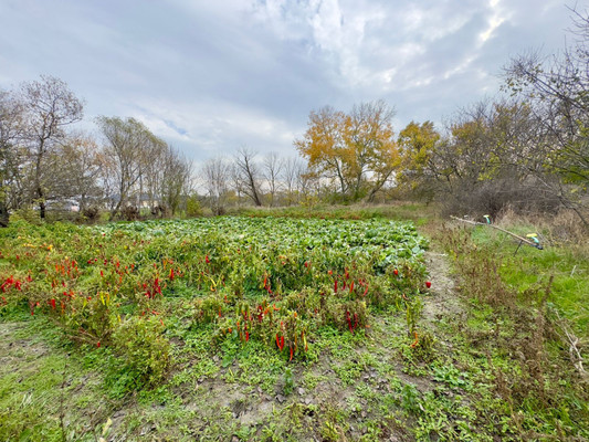 Продам участок 6 соток, ИЖС, Коммунаров ул, Гостагаевская ст-ца, 0 км от города