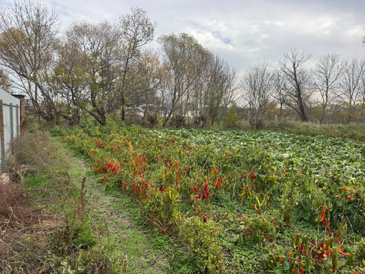 Продам участок 6 соток, ИЖС, Коммунаров ул, Гостагаевская ст-ца, 0 км от города