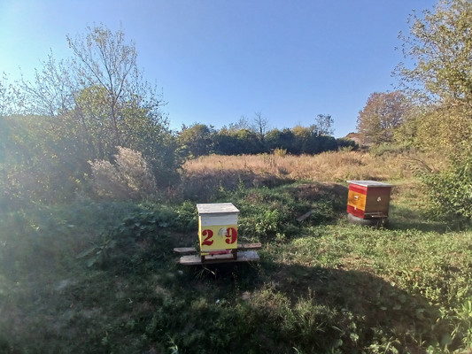 Продам дом, Речная ул, 5, Шаумян с, 0 км от города