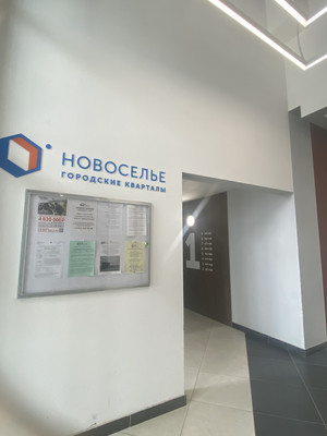 Сдам однокомнатную (1-комн.) квартиру, 11к1, Новоселье гп