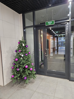 Сдам однокомнатную (1-комн.) квартиру, Орлово-Денисовский пр-кт, 19к3, Санкт-Петербург г