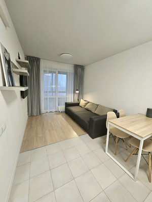 Сдам однокомнатную (1-комн.) квартиру, Орлово-Денисовский пр-кт, 19к3, Санкт-Петербург г