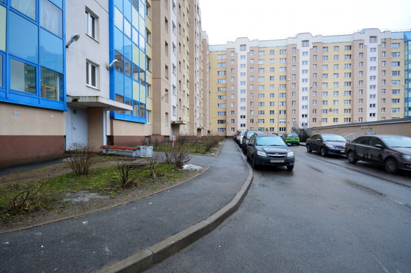 Сдам однокомнатную (1-комн.) квартиру, Науки пр-кт, 79к3, Санкт-Петербург г