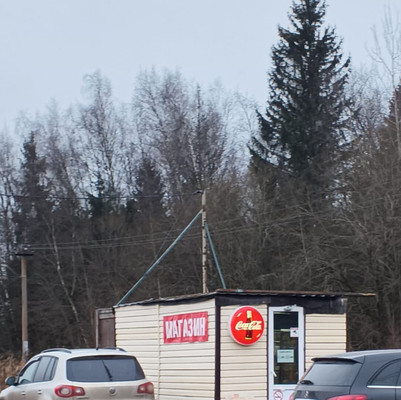 Продам дом, Южная ул, 1, ЛМС п, 0 км от города