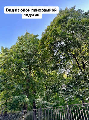 Продам однокомнатную (1-комн.) квартиру, Школьная (Салтыковка мкр.) ул, 7к2, Балашиха г