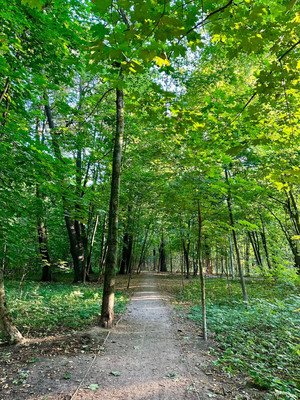 Продам однокомнатную (1-комн.) квартиру, Школьная (Салтыковка мкр.) ул, 7к2, Балашиха г