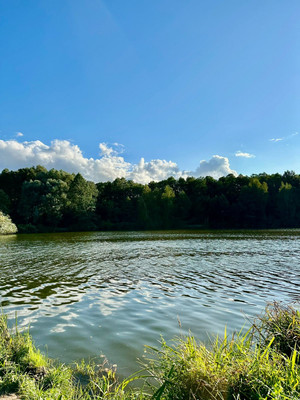 Продам однокомнатную (1-комн.) квартиру, Школьная (Салтыковка мкр.) ул, 7к2, Балашиха г