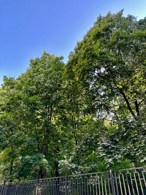 Продам однокомнатную (1-комн.) квартиру, Школьная (Салтыковка мкр.) ул, 7к2, Балашиха г