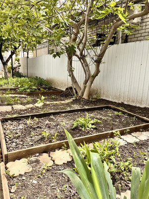 Продам дом, Глухова ул, 41к1, Новороссийск г, 0 км от города