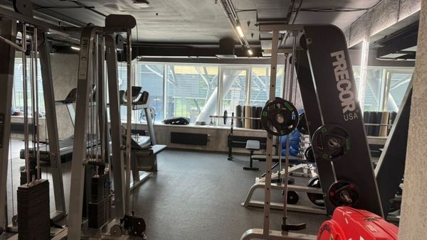 Сдам коммерческое помещение 264 м2, Устье С и Ко снт, Дубна г