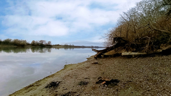 Продам участок 4,17 соток, Фермерское хоз., Топольковая (Кубань снт) ул, 83, Елизаветинская ст-ца, 0 км от города