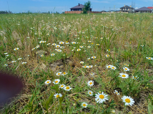 Продам участок 6 соток, ИЖС, Обуховка х, 0 км от города