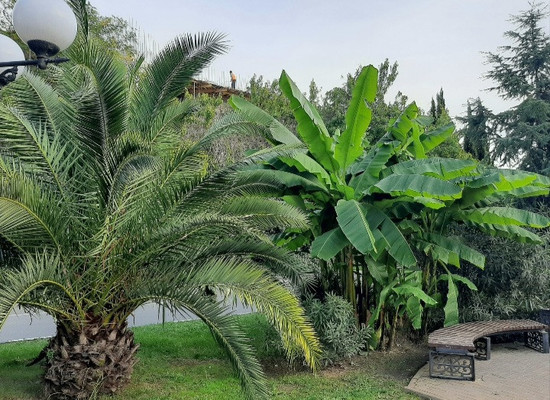 Продам трехкомнатную (3-комн.) квартиру, Волжская (Центральный р-н) ул, 34/3, Сочи г