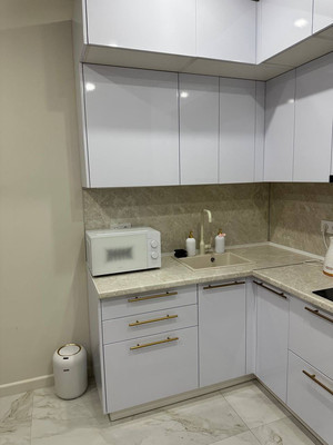 Сдам однокомнатную (1-комн.) квартиру, Искры (Адлерский р-н) ул, 88к10, Сочи г