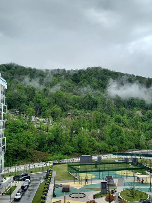 Сдам однокомнатную (1-комн.) квартиру, Искры (Адлерский р-н) ул, 88к10, Сочи г