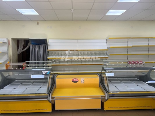 Продам торговое помещение 108,8 м2, Вишневая ул, Тополи с