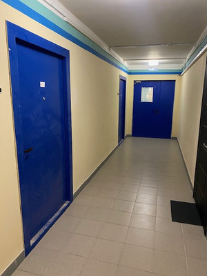 Продам однокомнатную (1-комн.) квартиру, Екатерининская ул, 8к1, Мурино п