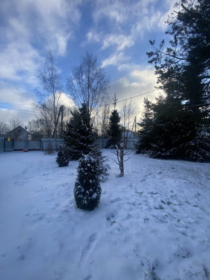 Продам дом, Южная ул, 4а, Яхрома г, 0 км от города