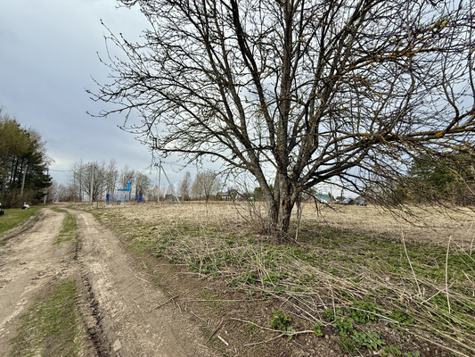 Продам участок 17 соток, ИЖС, Криушкино д, 0 км от города