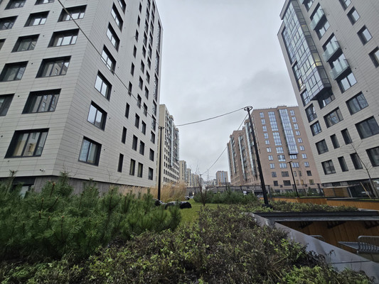 Продам трехкомнатную (3-комн.) квартиру, Академика Константинова ул, 1к1, Санкт-Петербург г