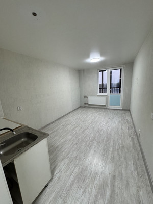 Продам однокомнатную (1-комн.) квартиру, Дорога Жизни ш, 7к1, Всеволожск г