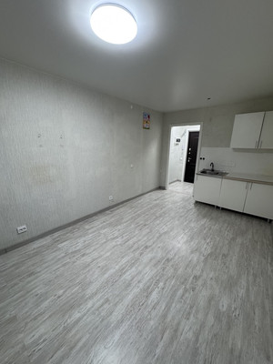 Продам однокомнатную (1-комн.) квартиру, Дорога Жизни ш, 7к1, Всеволожск г