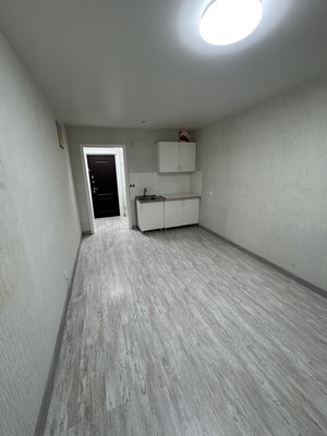 Продам однокомнатную (1-комн.) квартиру, Дорога Жизни ш, 7к1, Всеволожск г