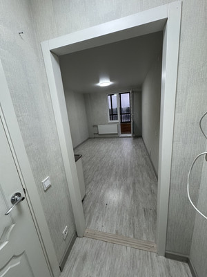 Продам однокомнатную (1-комн.) квартиру, Дорога Жизни ш, 7к1, Всеволожск г