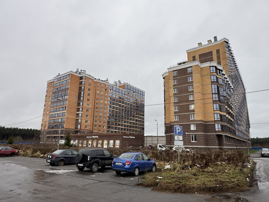 Продам однокомнатную (1-комн.) квартиру, Дорога Жизни ш, 7к1, Всеволожск г