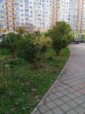 Продам двухкомнатную (2-комн.) квартиру, Южная ул, 7, Новороссийск г