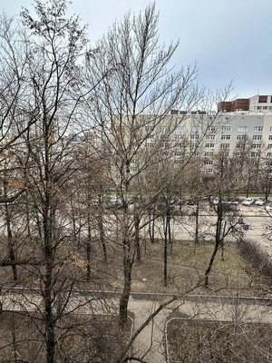 Продам двухкомнатную (2-комн.) квартиру, Парковая 3-я ул, 38к1, Москва г