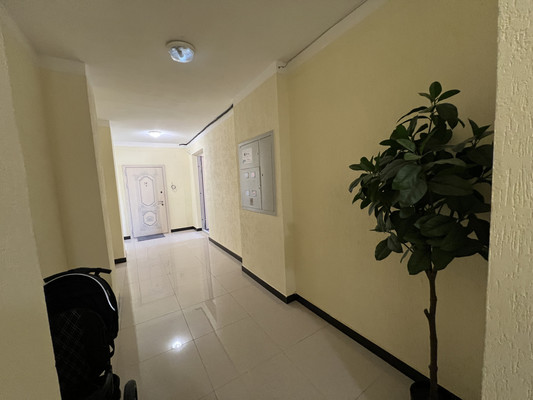 Продам трехкомнатную (3-комн.) квартиру, Атажукина ул, 11, Нальчик г