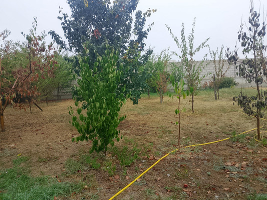 Продам участок 12 соток, ИЖС, им. Богатырева З.М. ул, 26, Чегем г, 0 км от города