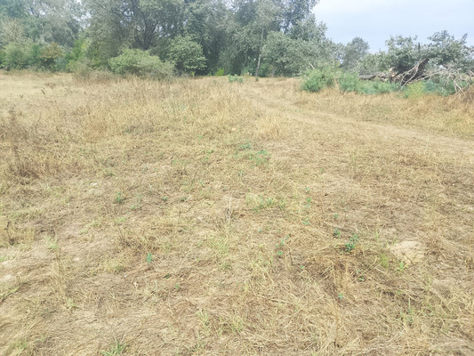 Продам участок 16 соток, Фермерское хоз., Гагарина ул, Майский г, 0 км от города