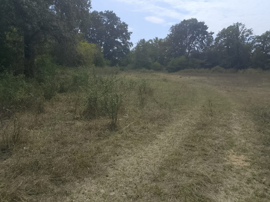 Продам участок 16 соток, Фермерское хоз., Гагарина ул, Майский г, 0 км от города