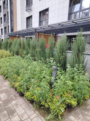 Продам двухкомнатную (2-комн.) квартиру, Новая ул, 1, Новое Шигалеево с