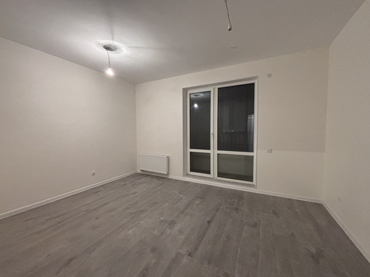 Сдам однокомнатную (1-комн.) квартиру, Первых ул, 4к7, Новосаратовка д