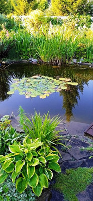 Продам дом, Новороссийская ул, 134, Казань г, 0 км от города