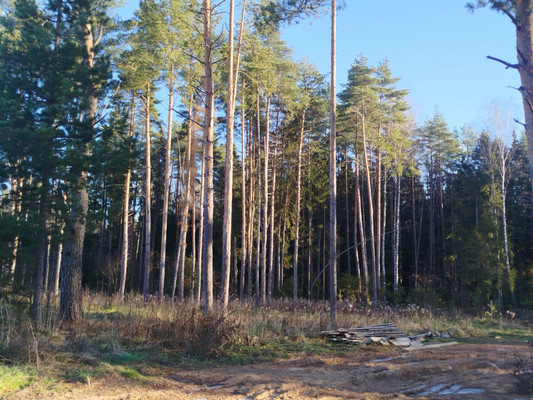 Продам дом, Ореховая ул, Малые Петрищи д, 0 км от города